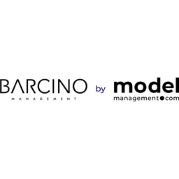 Barcino logo