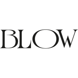 Blow Models logo