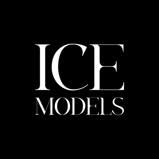 Ice Models logo