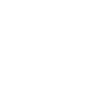 Models 1 logo