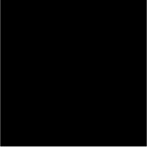 Select Model Management logo