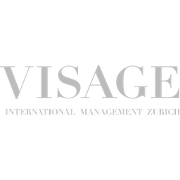 Visage International Management logo