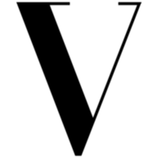 Vision Models LA logo