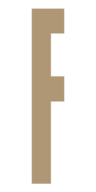 Fusion Models logo