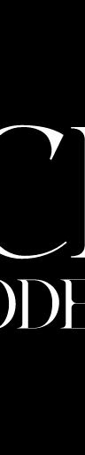 Ice Models logo
