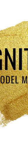 Ignite Talent and Model Management logo
