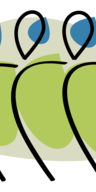 Original Cape Talent logo