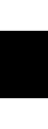 Paola's Management logo
