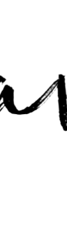 Pavé Personal Model Management logo