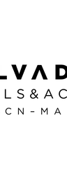 Salvador Models logo