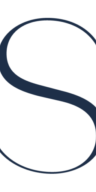 Skins Model Management logo