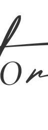 Story Model Management logo