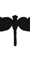 The Dragonfly Agency logo
