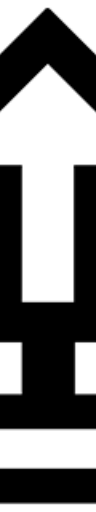 The Lions logo
