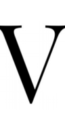 The Vanguard Management logo