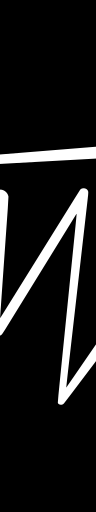 The Wolves Model Management logo