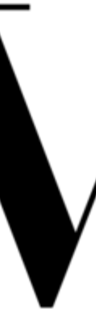 Vision Models LA logo