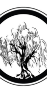 Willow Model Management logo